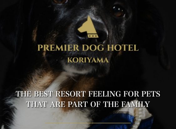 PREMIER DOG HOTEL