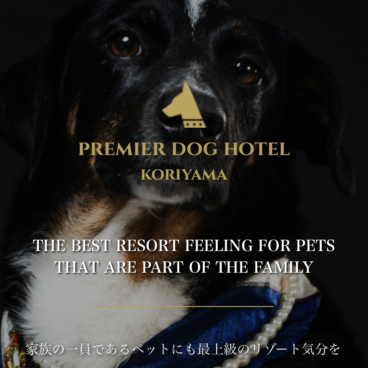 ［NEW］PREMIER DOG HOTEL 様を掲載いたしました！